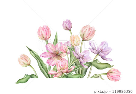 Delicate pastel multi-colored bud bouquet Tulips. Hand drawn watercolor illustration garden composition perennial bulbous flower for spring design or card, frames, banners, postcards, certificates Delicate pastel multi-colored bud bouquet Tulips. Hand drawn watercolor illustration garden composition perennial bulbous flower for spring design or card, frames, banners, postcards, certificates 119986350