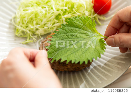 おろしハンバーグを作るミドル〜シニア女性の手元 おろしハンバーグを作るミドル〜シニア女性の手元 119986896