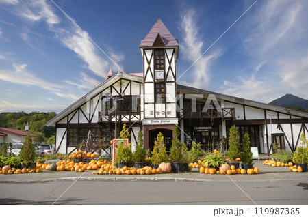 秋のニセコ駅 119987385