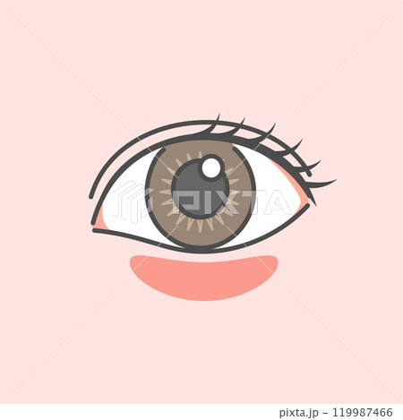 目のクマの種類イラスト（赤クマ） 119987466
