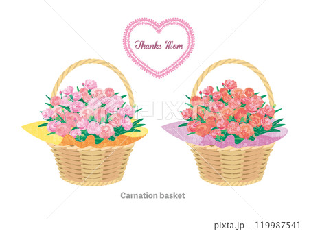 carnation basket 母の日 カーネーションの花籠 119987541