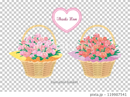 carnation basket 母の日 カーネーションの花籠 119987541
