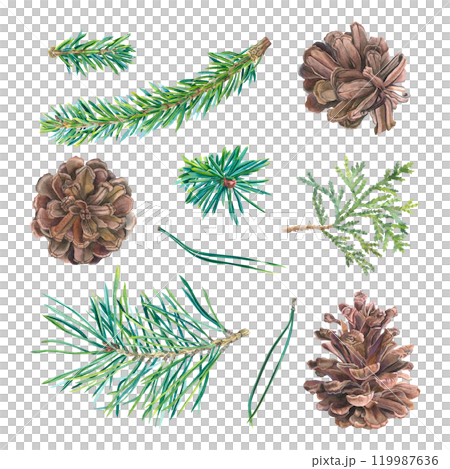 Watercolor set of coniferous twigs, pine cones and needles. Hand drawn watercolor illustration of spruce, pine, fir, thuja isolated on background. Botanical decoration for 2025 new year. For cards. Watercolor set of coniferous twigs, pine cones and needles. Hand drawn watercolor illustration of spruce, pine, fir, thuja isolated on background. Botanical decoration for 2025 new year. For cards. 119987636