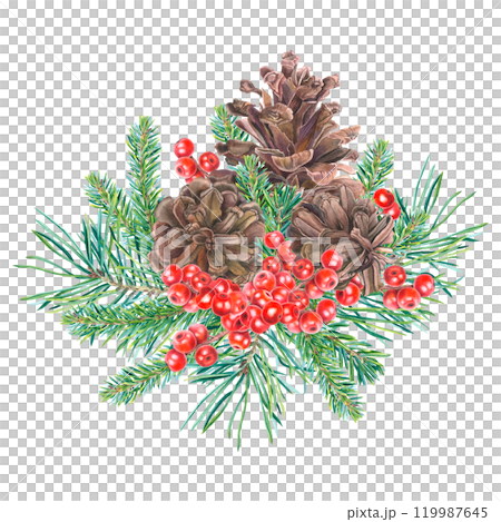Pine cones, Christmas tree branches, red berries of ilex. Hand drawn watercolor illustration of winter plants on isolated background. For New Year greeting cards or Xmas invitations. Spruce twigs. 119987645
