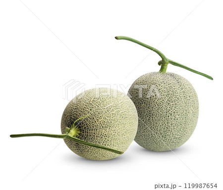 Green melons isolated on white background, Melon or cantaloupe isolated on white background With clipping path. 119987654