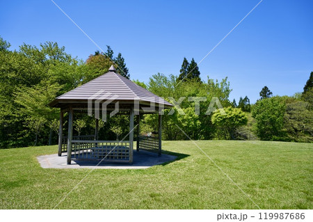 緑地・ガゼボ 緑地・ガゼボ 119987686