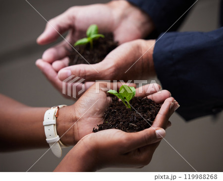 Hands, seedling and plant with soil for growth, startup or company for future investment. Entrepreneurship, sustainability or earth day for accountability, hope or agriculture for environment support Hands, seedling and plant with soil for growth, startup or company for future investment. Entrepreneurship, sustainability or earth day for accountability, hope or agriculture for environment support 119988268