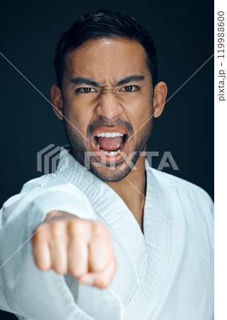 Karate, fist and angry portrait of man in studio, black background or practice martial arts. Shouting, fight and person punch with self defence skill, technique or mma sport with challenge of warrior Karate, fist and angry portrait of man in studio, black background or practice martial arts. Shouting, fight and person punch with self defence skill, technique or mma sport with challenge of warrior 119988600