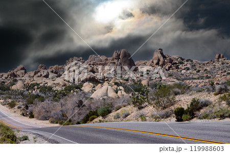 Joshua tree national park, california, united states 119988603