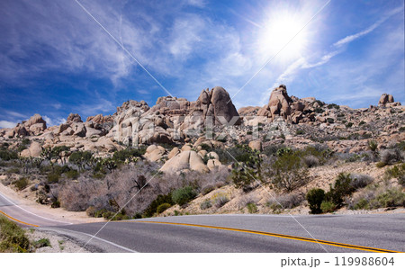 Joshua tree national park, california, united states 119988604