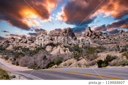Joshua tree national park, california, united states 119988607