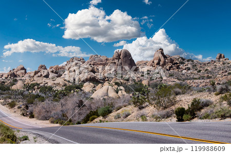 Joshua tree national park, california, united states Joshua tree national park, california, united states 119988609