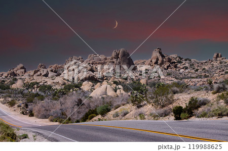Joshua tree national park, california, united states Joshua tree national park, california, united states 119988625