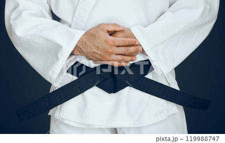 Hands, karate and black belt in studio for master, exercise and training for taekwondo greeting. Man, martial arts and professional fighter in dojo for sport, expertise and sensei in self defence Hands, karate and black belt in studio for master, exercise and training for taekwondo greeting. Man, martial arts and professional fighter in dojo for sport, expertise and sensei in self defence 119988747