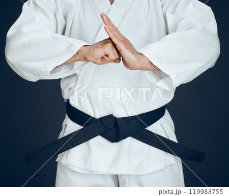Karate, hands and person for greeting in studio for master, exercise or discipline with black belt. Man, martial arts or professional fighter in dojo for sport, expertise or self defense or taekwondo 119988755