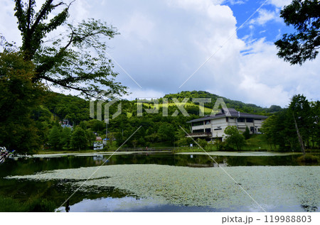 愛知県北設楽郡豊根村坂　茶臼山高原　矢筈池 119988803