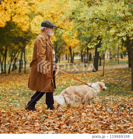 Senior man in hat and his loyal retriever wander park paths, surrounded by golden hues of fall leaves. 119989109