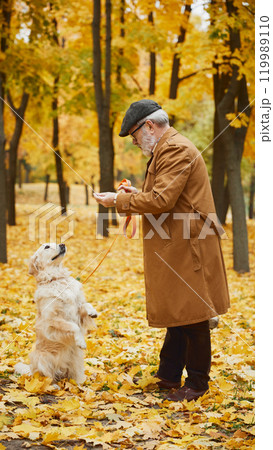 Autumn walk for man in coat and his golden retriever, surrounded by colorful leaves of season. Pet following commands of its owner. 119989110