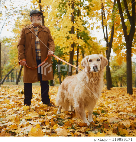 Cute golden retriever joyfully explores park, while its senior owner follows, surrounded by bright fall leaves. Cute golden retriever joyfully explores park, while its senior owner follows, surrounded by bright fall leaves. 119989171