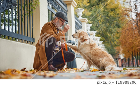 Smart cute purebred Golden retriever dog carries out owner's commands, and he, senior man sitting near. Mature man with pet in park. 119989200