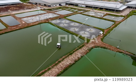 The aerial view of many ponds and paths near the manufactory shot by drone. 119989323