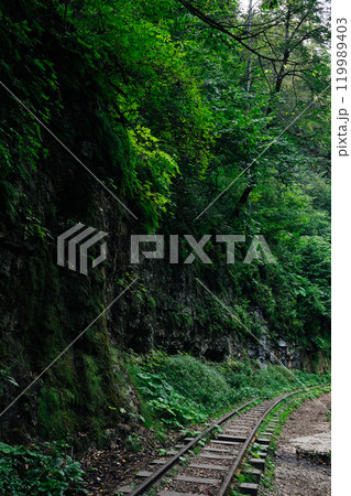 Old railway for a train in a green mountain forest Old railway for a train in a green mountain forest 119989403