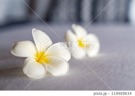 Frangipani flower or Lan Thom in Thailand name, is on the white king bedroom at hotel with morning light from outside room. 119989634
