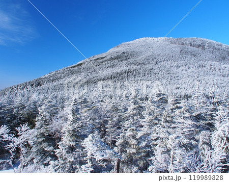 北八ヶ岳・茶臼山の樹氷の森 北八ヶ岳・茶臼山の樹氷の森 119989828