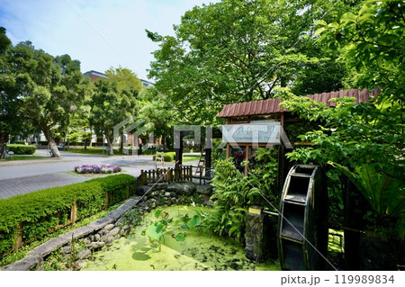 台湾大学農業試験場(台湾・台北市大安区) 台湾大学農業試験場(台湾・台北市大安区) 119989834