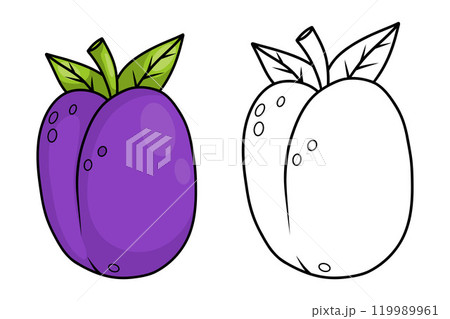 Blue plum collection. Seasonal ripe fruit. Isolated outline stroke, line and color drawings. Vector illustration. Coloring book. Kids collection. 119989961