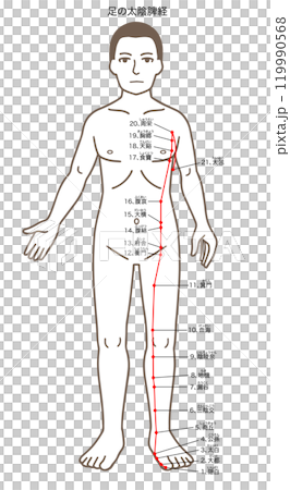 Acupuncture acupuncture points, foot Taiyin spleen meridian, acupressure points illustration 119990568