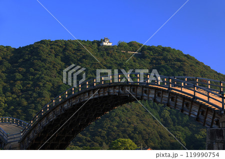 岩国　錦帯橋4203 119990754