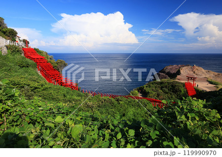 元乃隅神社4950 119990970