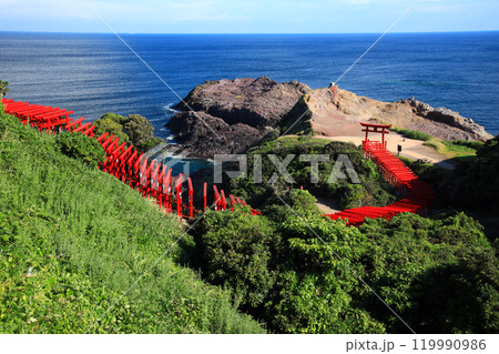 元乃隅神社8924 119990986