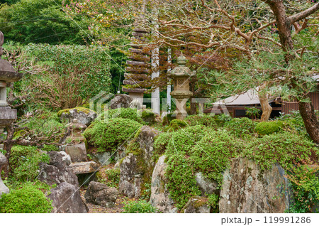 日本庭園　古民家　庭　田舎 119991286