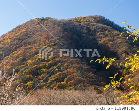 榛名富士の紅葉と澄んだ青空 119991590