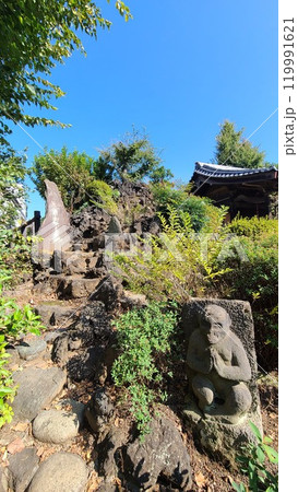 下練馬の富士塚 下練馬の富士塚 119991621