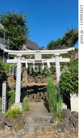 下練馬の富士塚 119991623