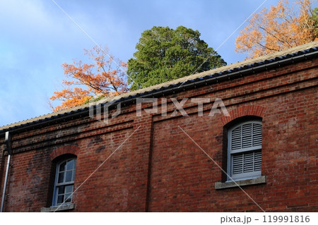 赤レンガ倉庫と青空と紅葉 赤レンガ倉庫と青空と紅葉 119991816