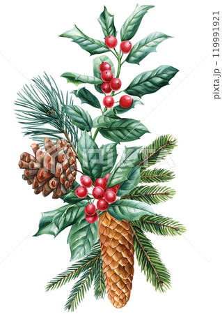 Watercolor Christmas pine cone arrangement with holly berries, evergreen winter foliage isolated on white, holiday decor 119991921