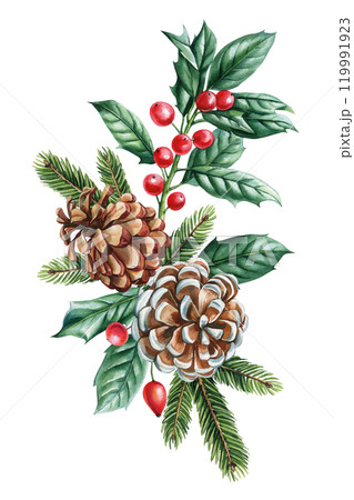 Watercolor Christmas pine cone arrangement. Natural decoration with pine cone, holly and seasonal evergreen branches 119991923