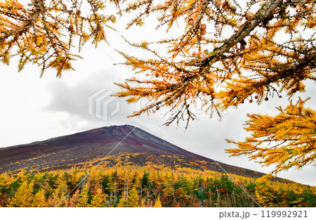 Mount Fuji from Fuji Subaru Line 5th Station in Autumn 119992921