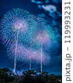 打ち上げ花火 打ち上げ花火 119993231