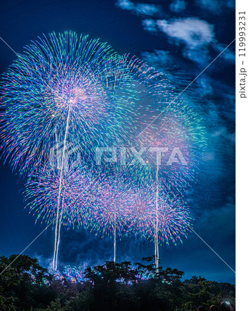 打ち上げ花火 打ち上げ花火 119993231