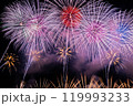 打ち上げ花火 打ち上げ花火 119993233