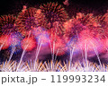 打ち上げ花火 打ち上げ花火 119993234