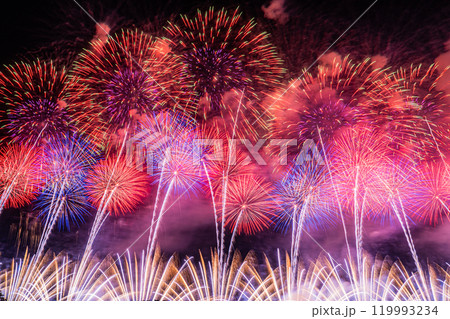 打ち上げ花火 打ち上げ花火 119993234