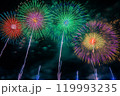 打ち上げ花火 打ち上げ花火 119993235