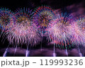 打ち上げ花火 打ち上げ花火 119993236