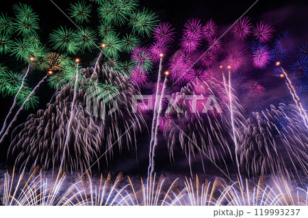 打ち上げ花火 打ち上げ花火 119993237